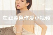 国产黄色自拍视频,隐私边界与网络监管的较量